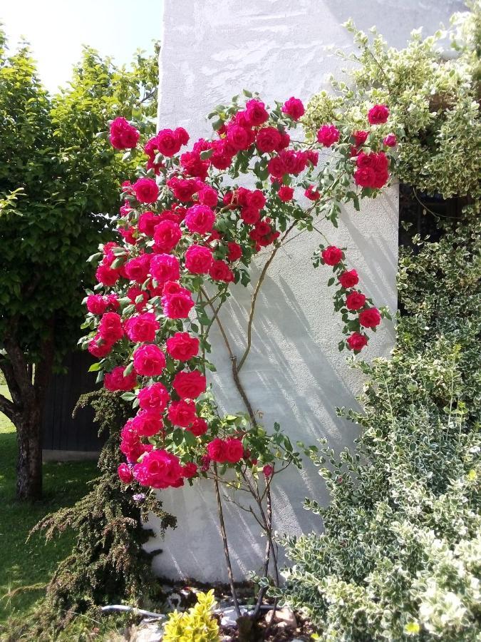 B&B La Casa Di Loretta Paderno Buitenkant foto